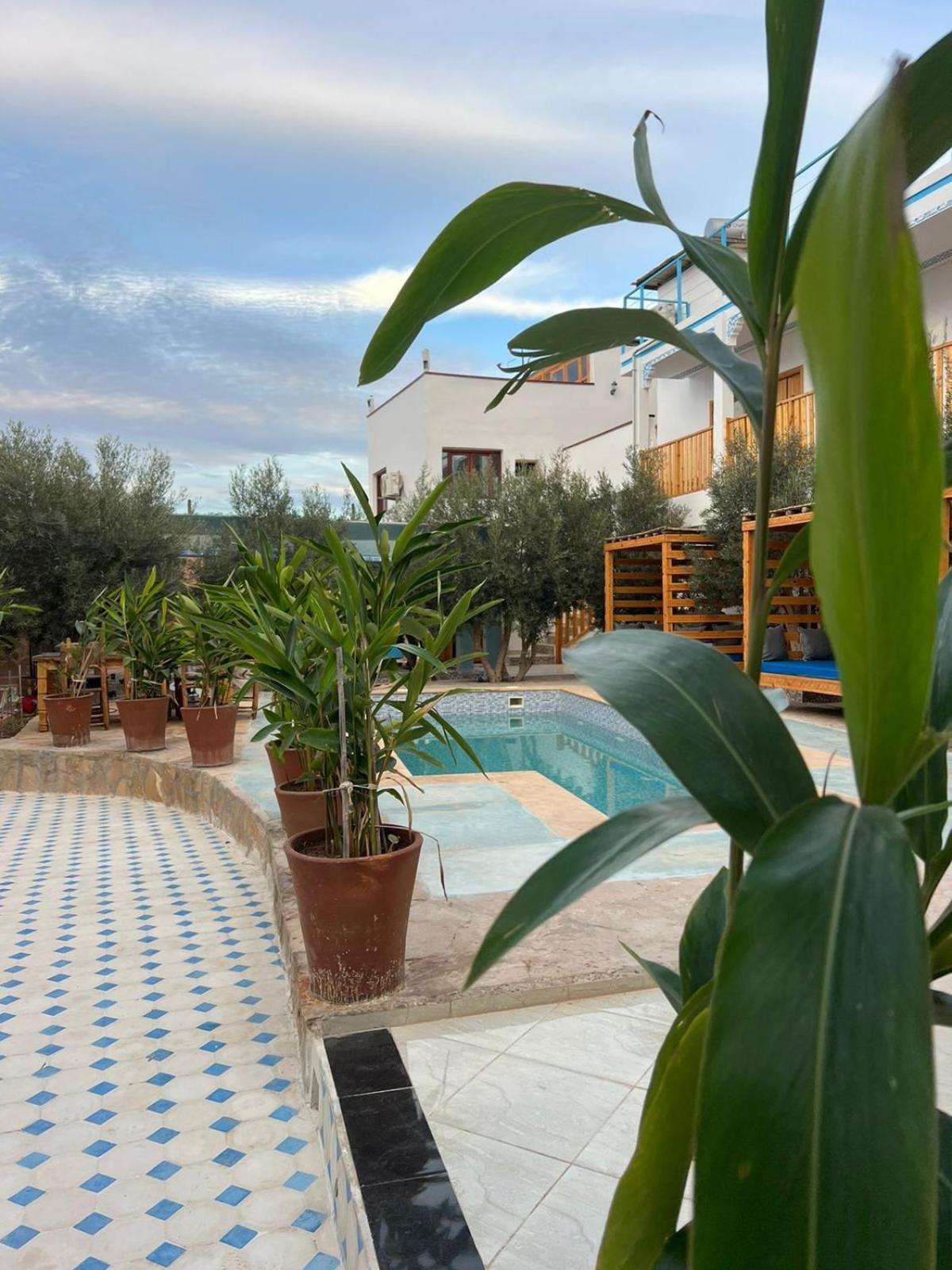 Single Fin Taghazout Surf & Stay Экстерьер фото