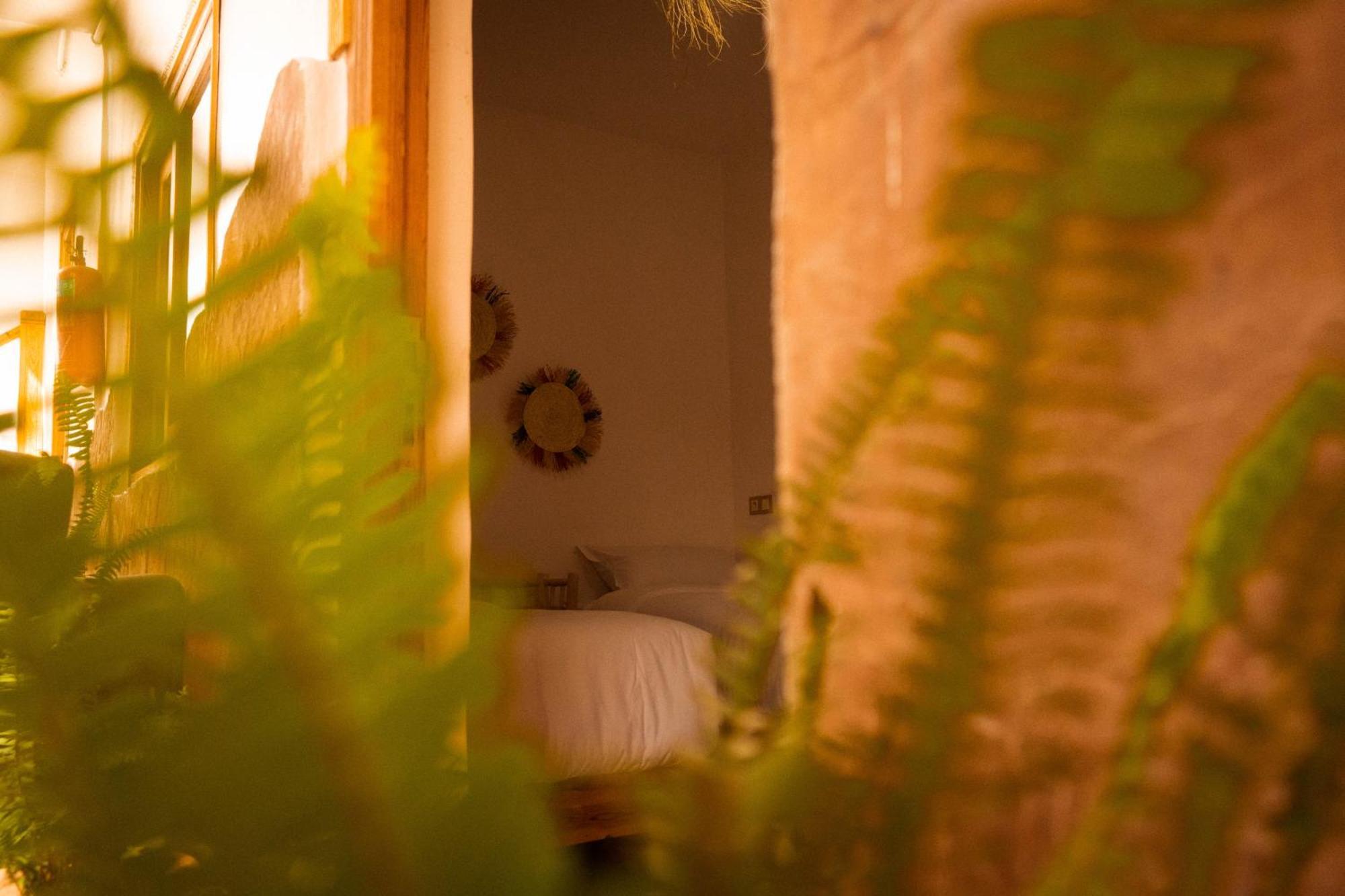 Single Fin Taghazout Surf & Stay Экстерьер фото